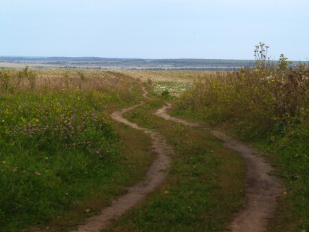 Дорога домой