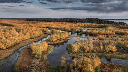 Устье реки Еныя