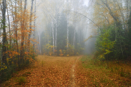 осень