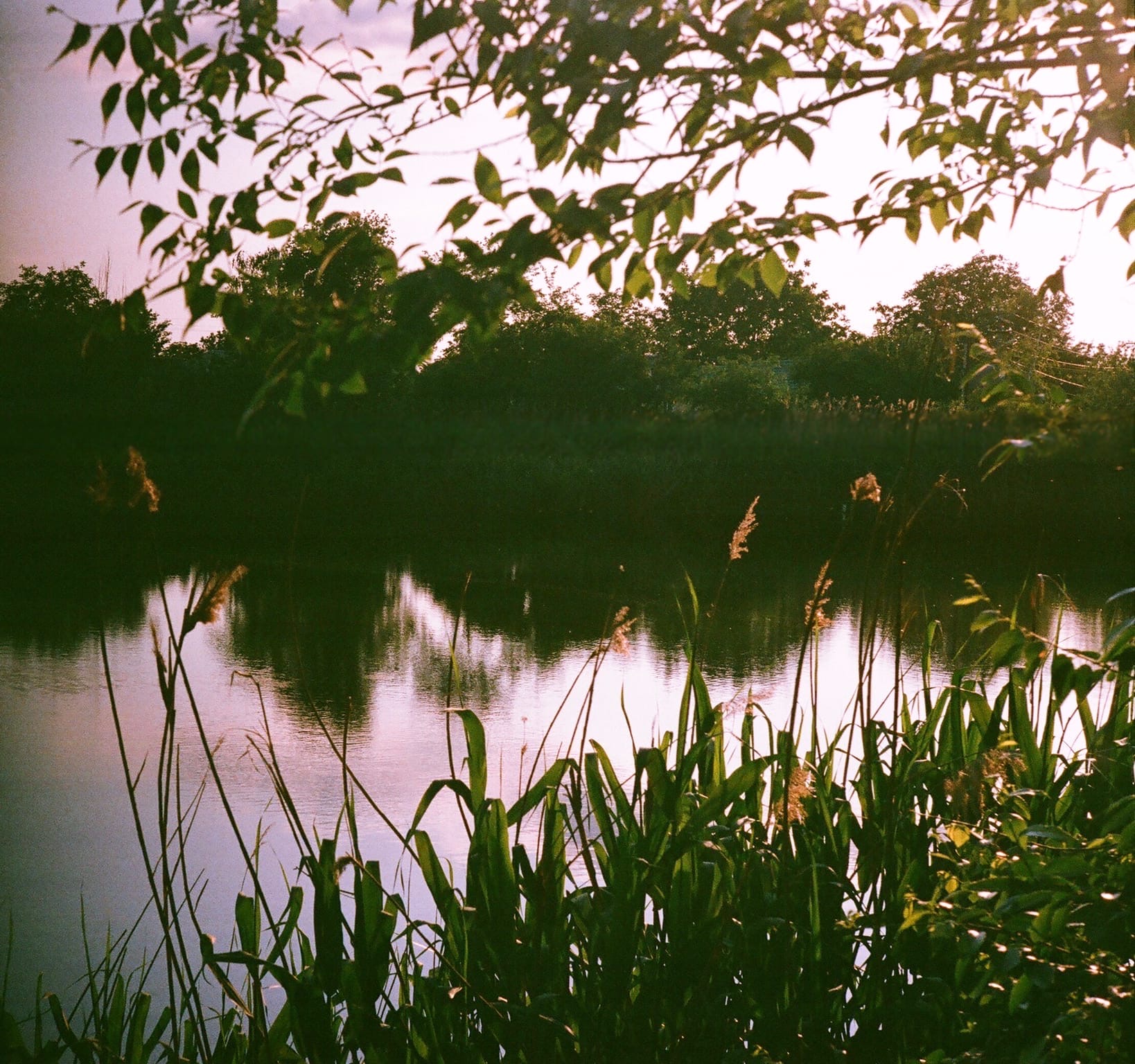 ***. раздел Природный пейзаж. Зоркий-4к Fujicolor 400 (просрочка) Юпитер 8