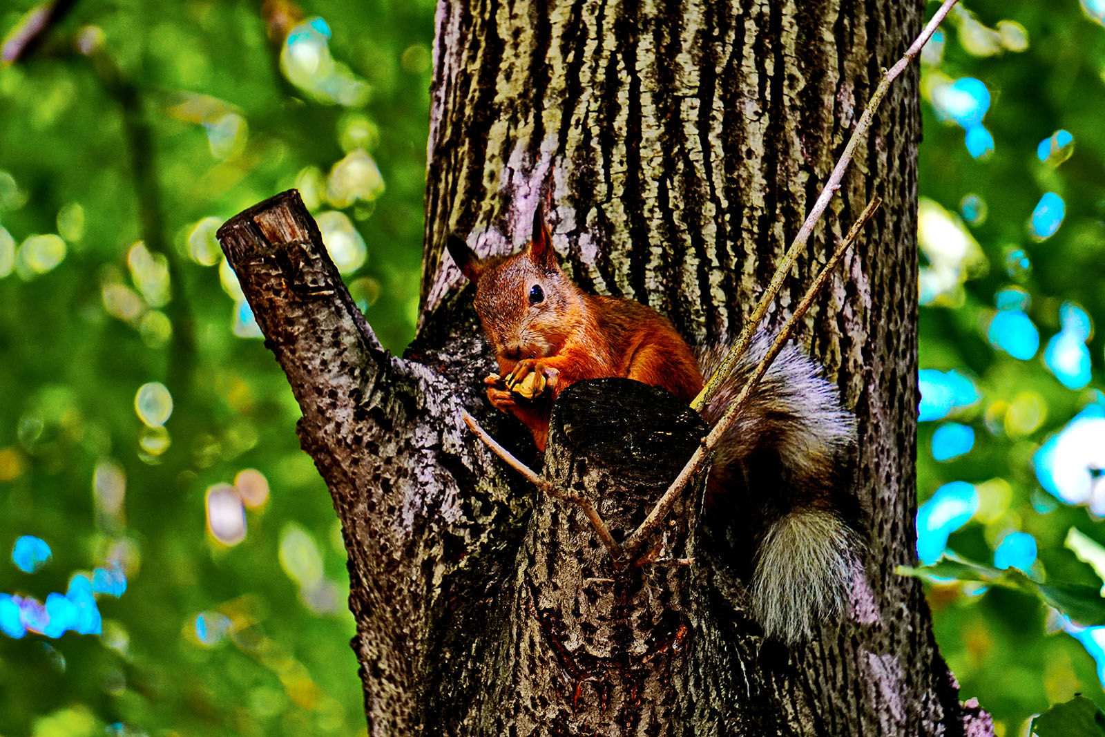 «Перекус.» раздел «Жанр». «»