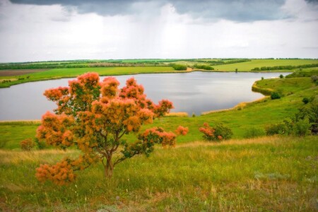 перед грозой