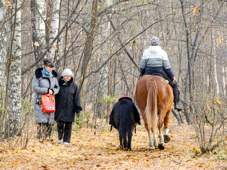 Конёк Горбунок