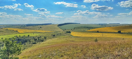ПУП Земли Русской !!! ( Центральное Черноземье Воронежская губерния село Россошки )