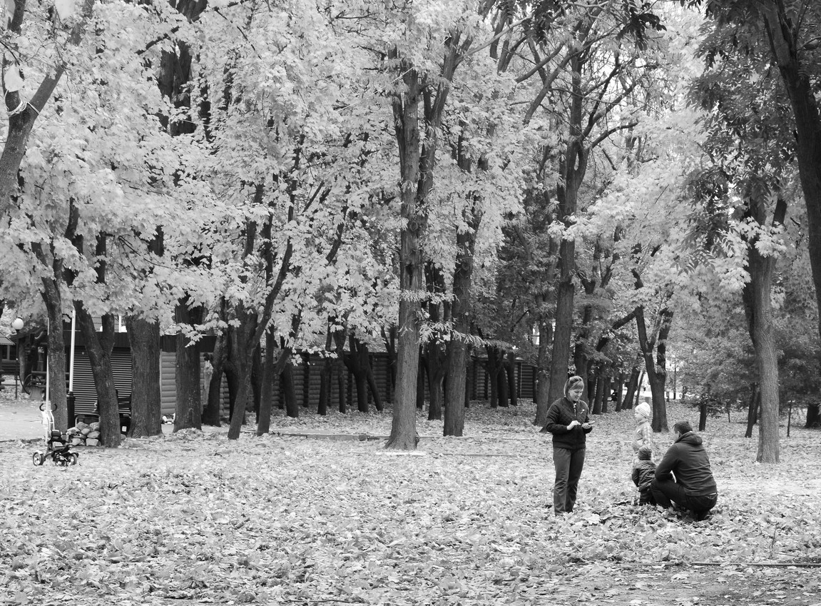 «в осеннем парке» раздел «Разное». «»