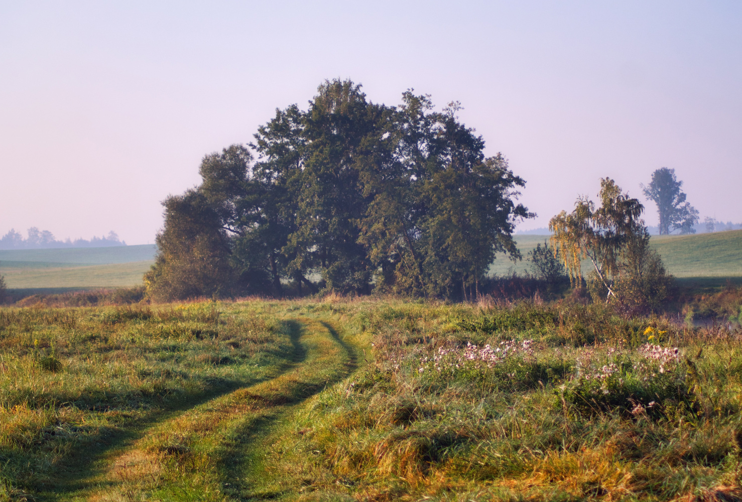 Сентябрь. раздел Природный пейзаж