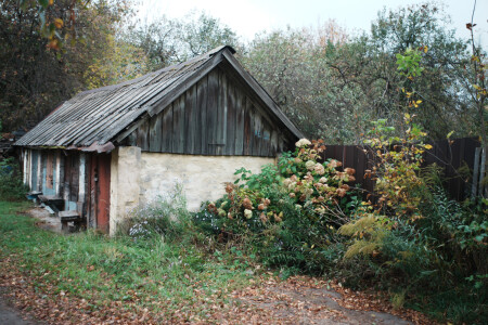 Сарайчик