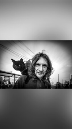 человек и кошка