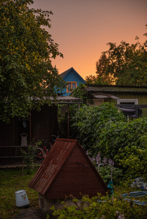 Золотой час в деревне
