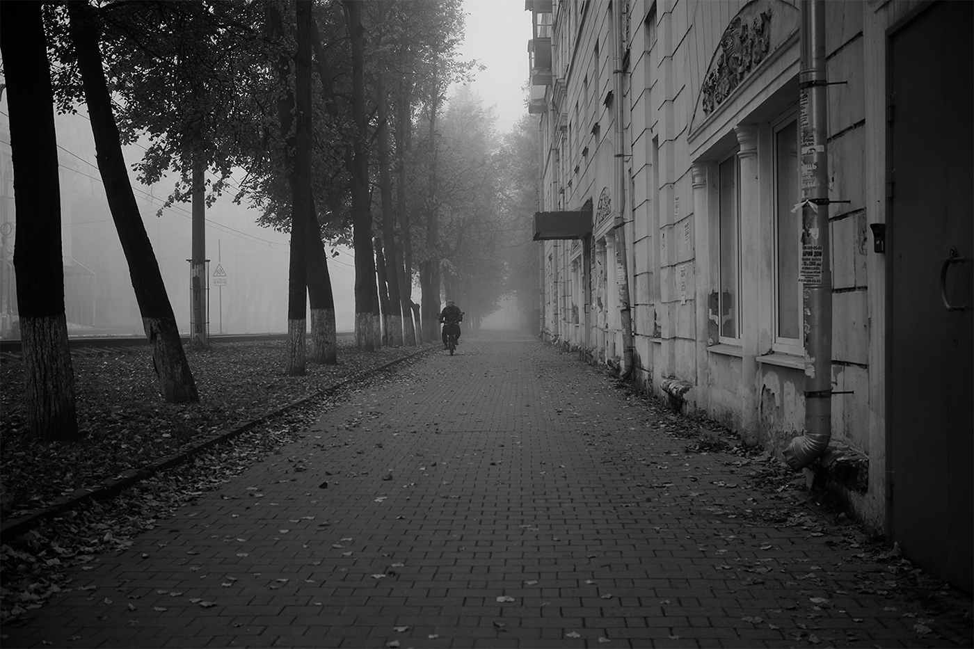 «*» раздел «Жанр». «»