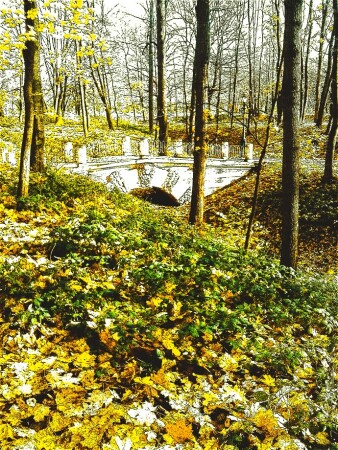 Графика осени