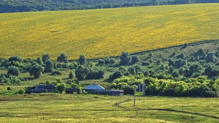 Дорога домой