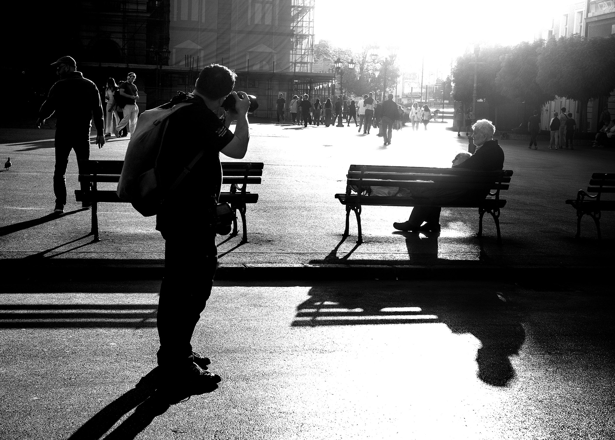 фотограф в действии. раздел Папарацци. #vavilov_foto