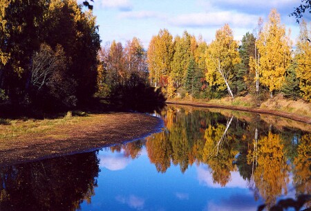 Просто осень