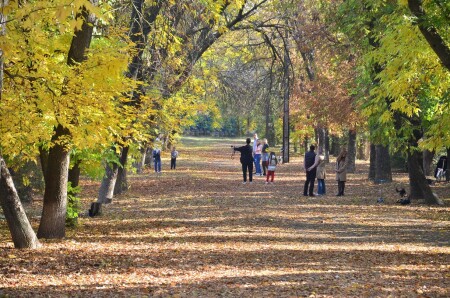 осенние мотивы