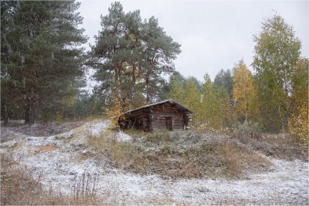 Первый снег