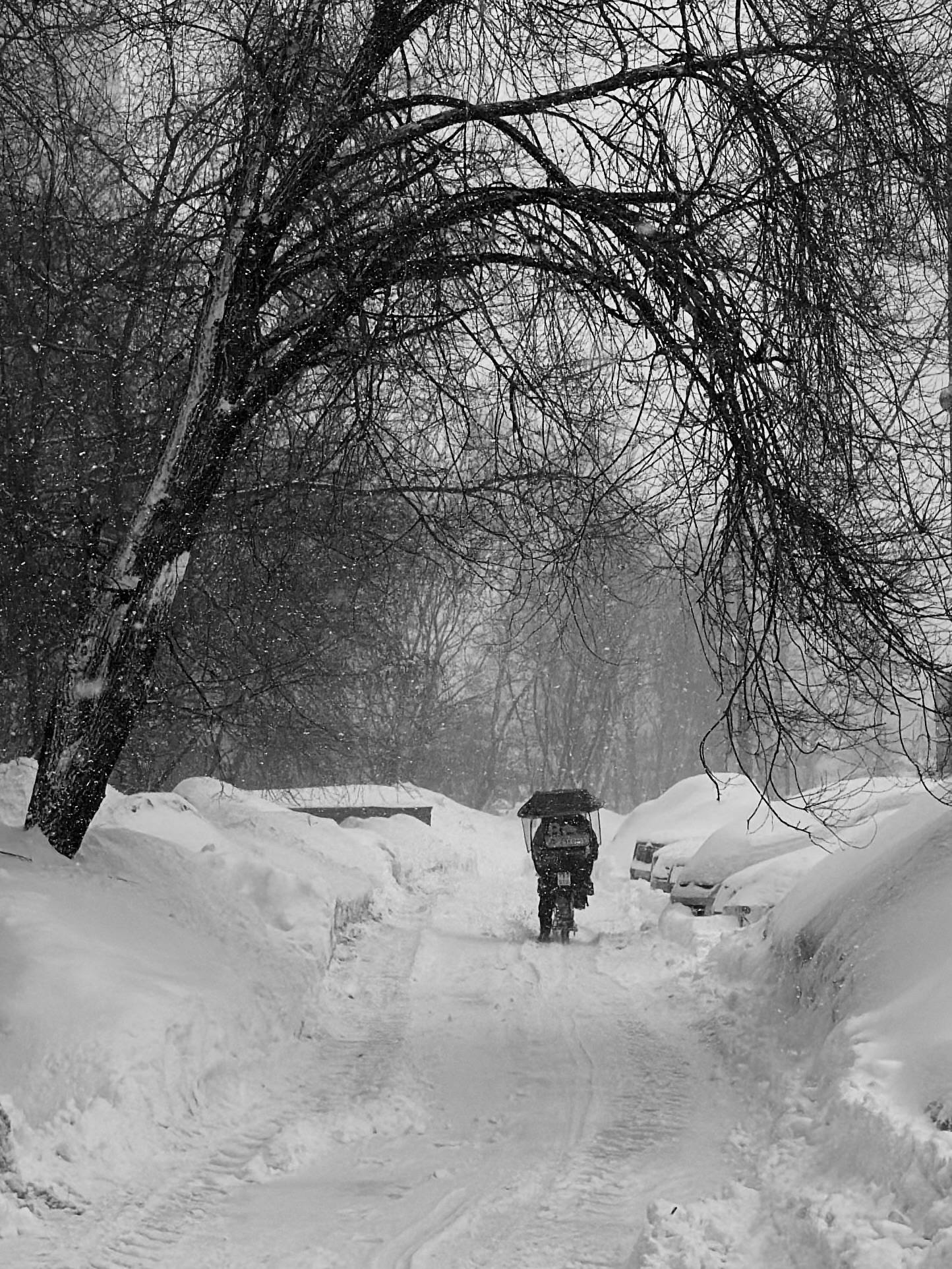 Не страшен снегопад курьеру