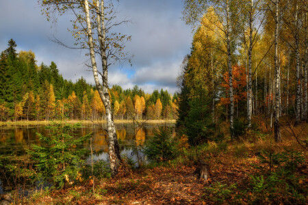 красочная осень