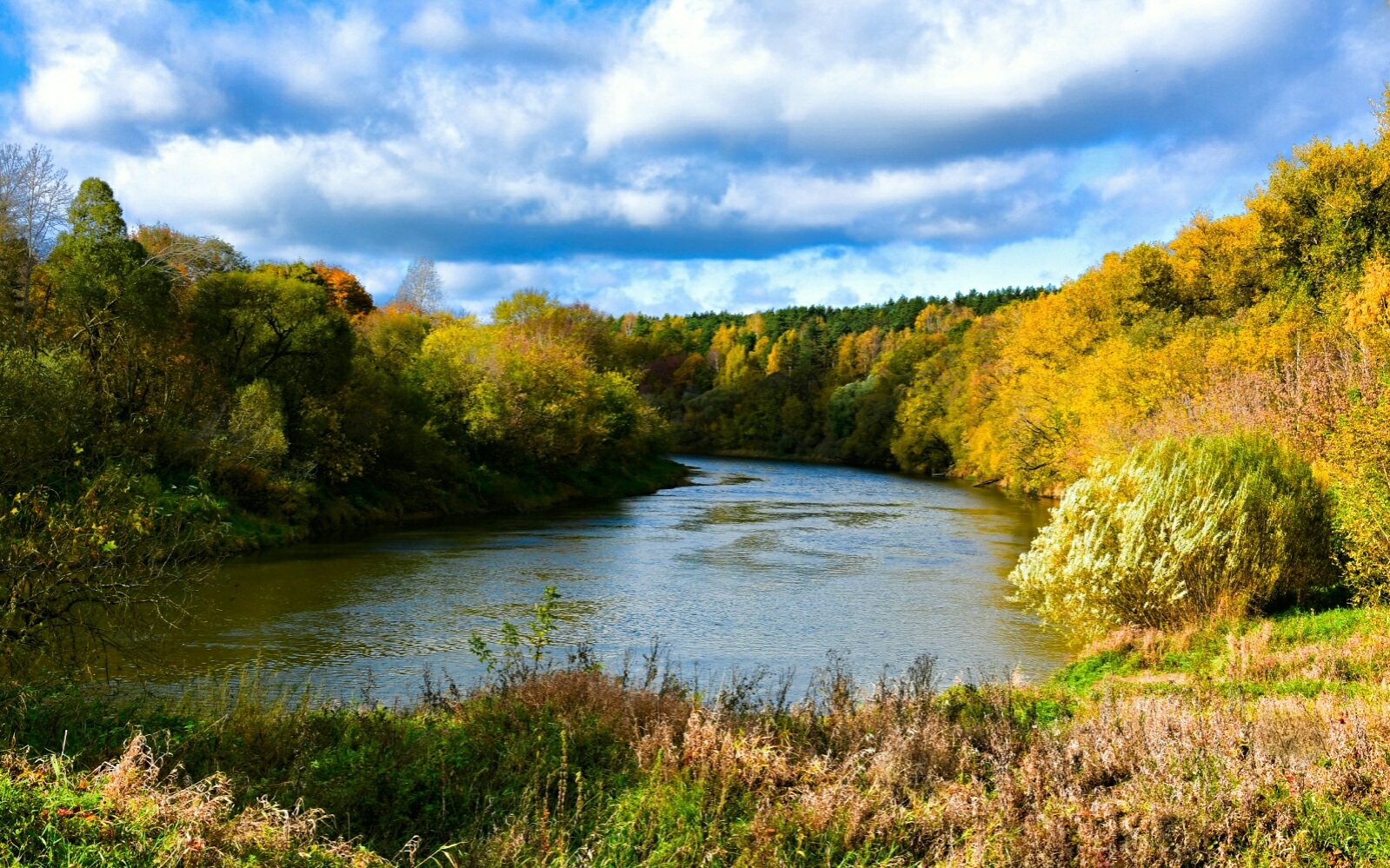 Смоленский Днепр. раздел Природный пейзаж. р.Днепр, Смоленская область, д.Борок 10.10.2026