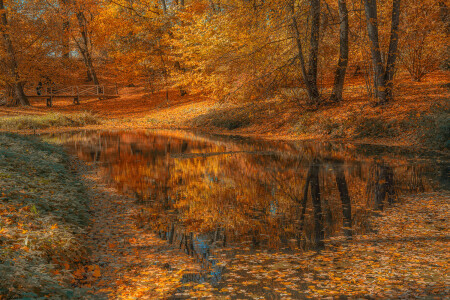 Краски осени.