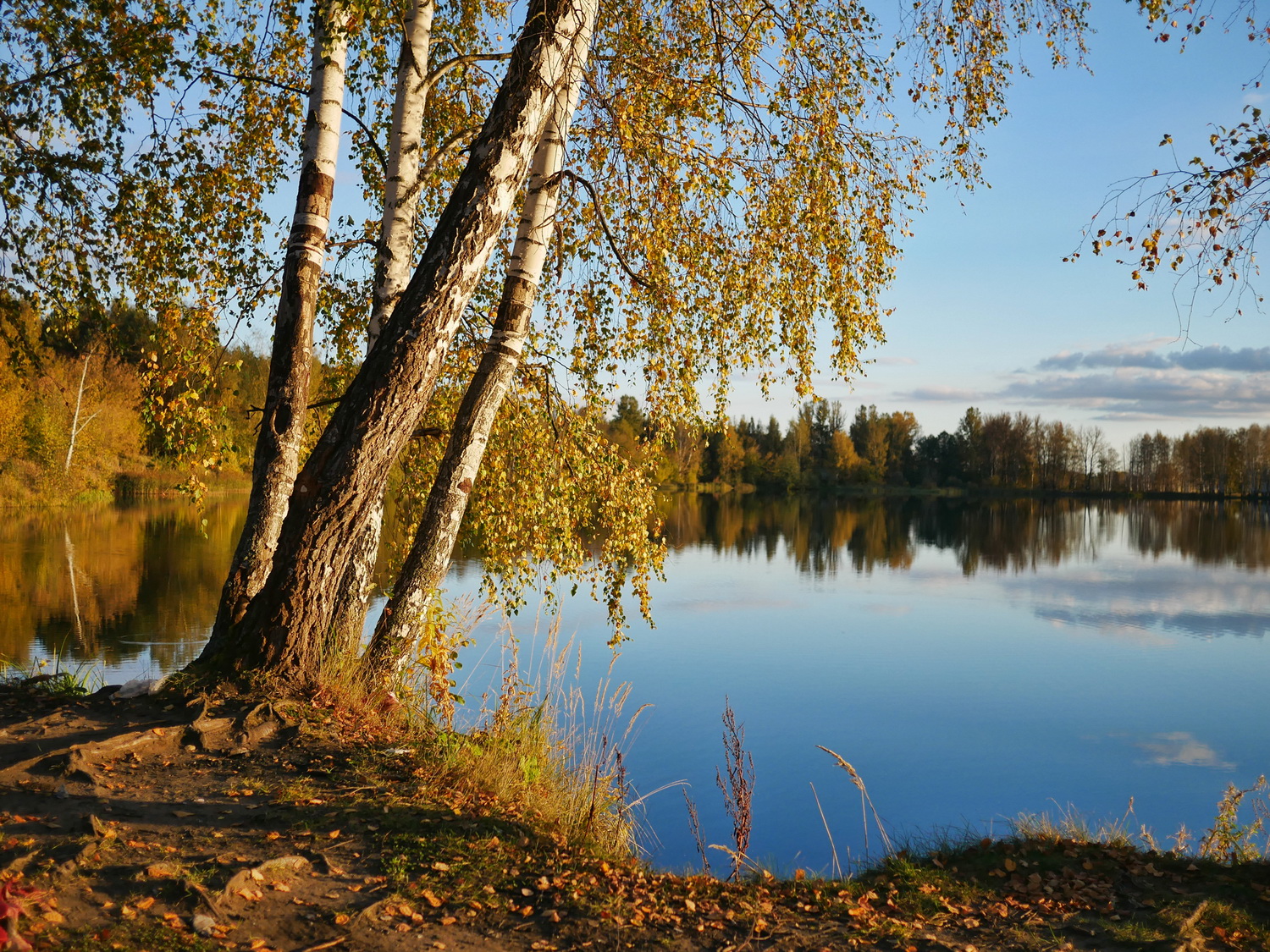 «***» раздел «Природный пейзаж». «»