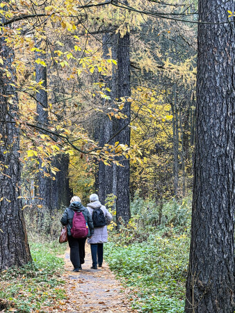 Осень жизни, как и осень года...