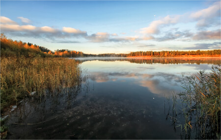 Осеннее утро