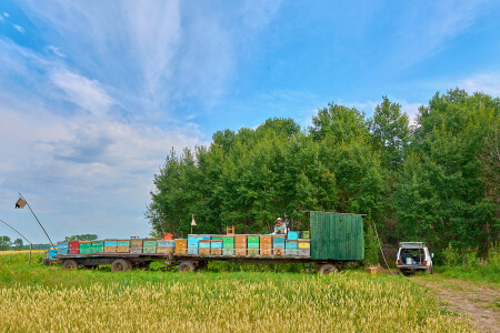 Передвижная пасека