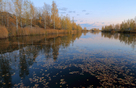 Золотые гавани