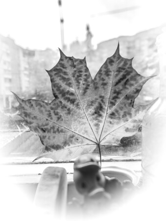 Флюорография осени.