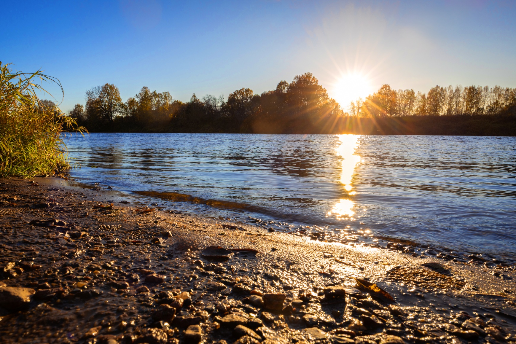«Солнечная дорожка» раздел «Природный пейзаж». «»