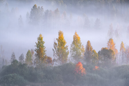 Осень