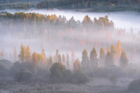 Осень