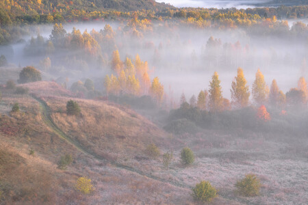 Осень
