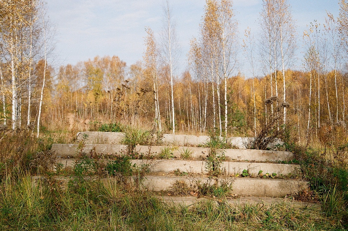«Осень наступает» раздел «Разное». «»