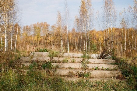 Осень наступает