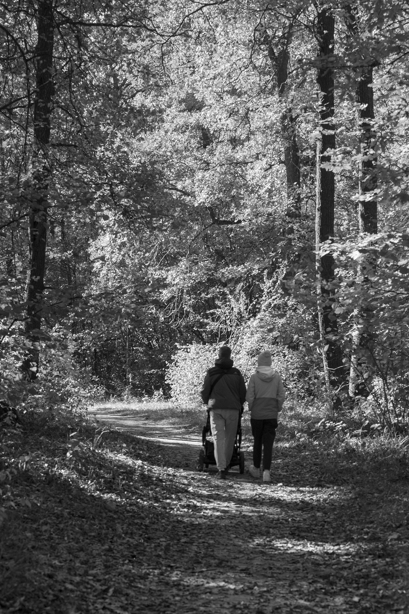 «Ещё одна банальная карточка )» раздел «Природный пейзаж». «Юджин Смит: "А дети-то выросли..."»