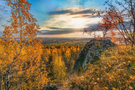 Осенний лес