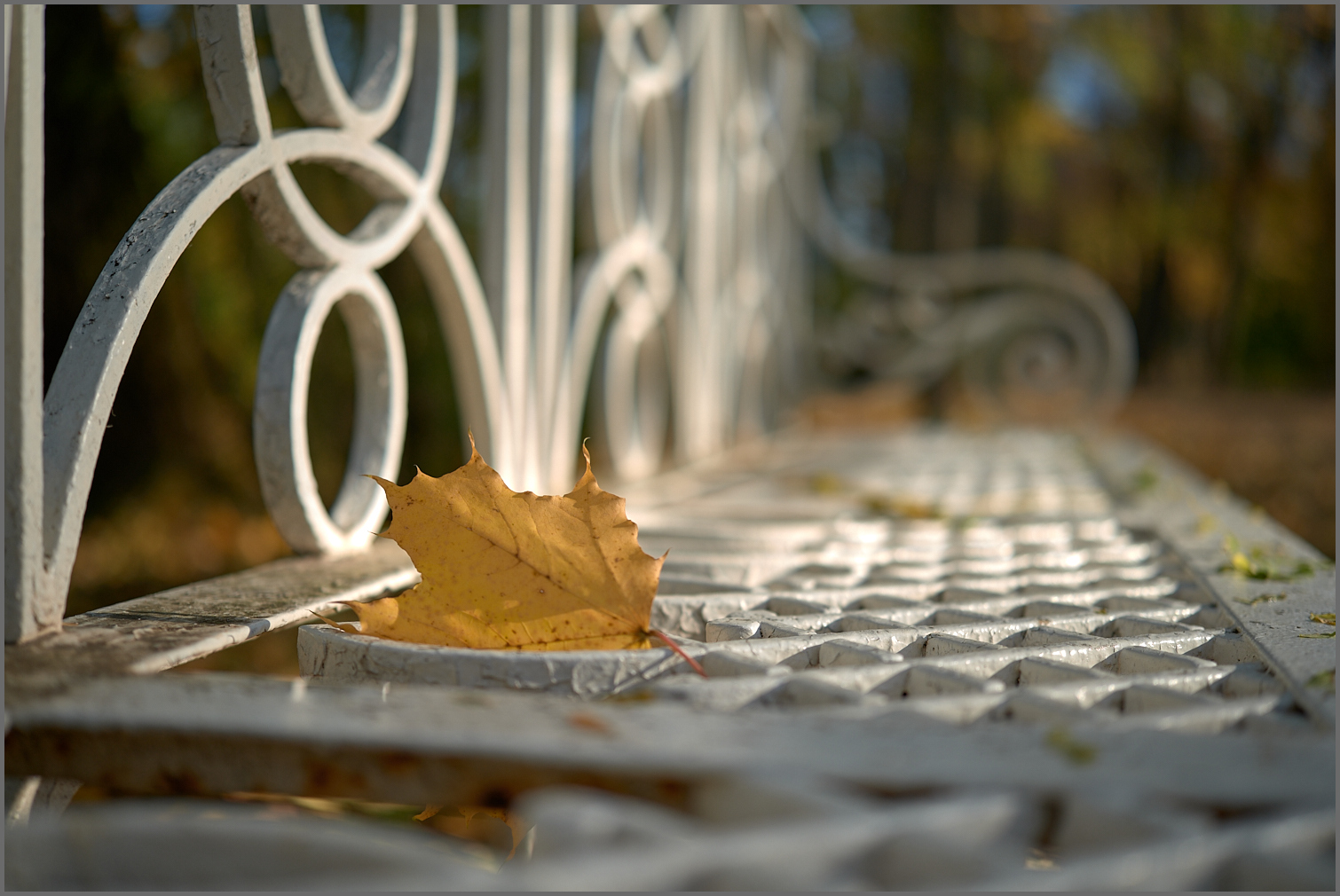 «.....» раздел «Разное». «»