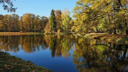 Золотая осень