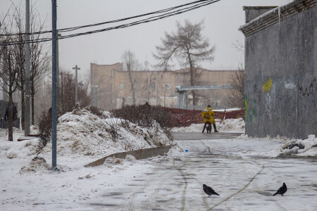 В непогоду