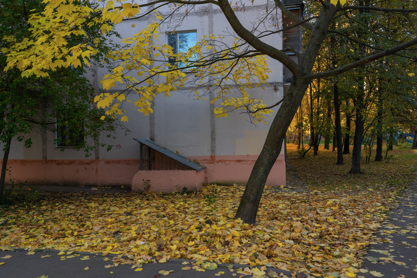 «.» раздел «Разное». «»