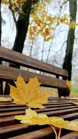 В парке 