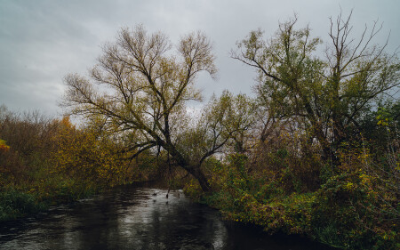 Осень