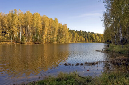 Лесное озеро