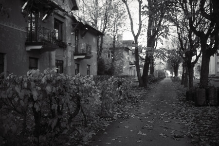улочка