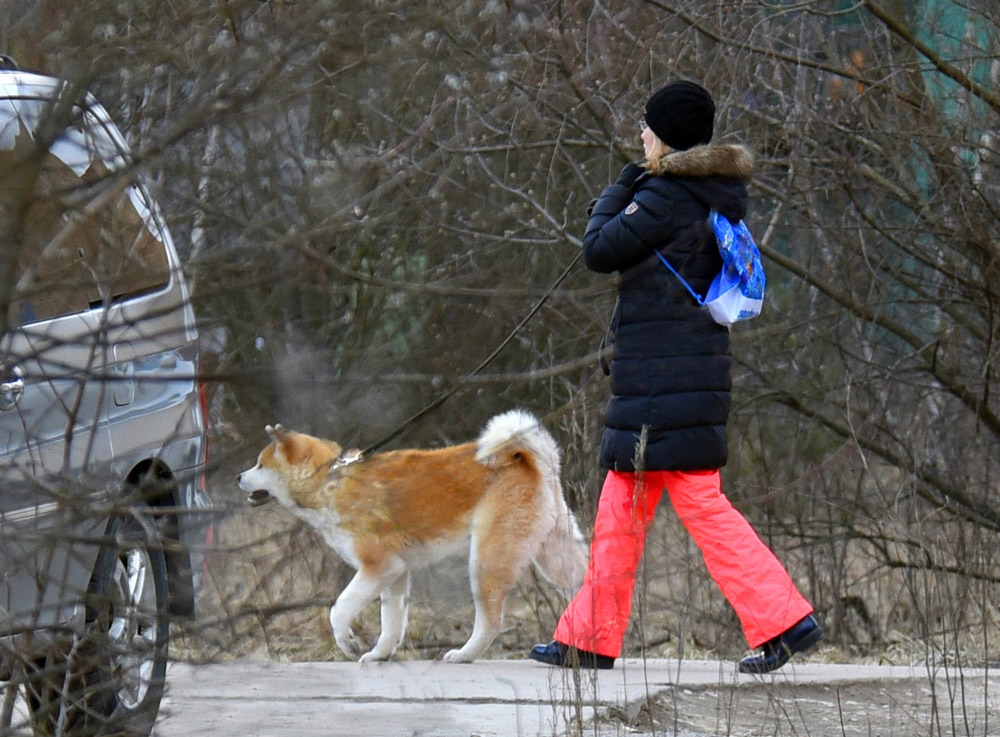 «Прогуляйка.» раздел «». «»