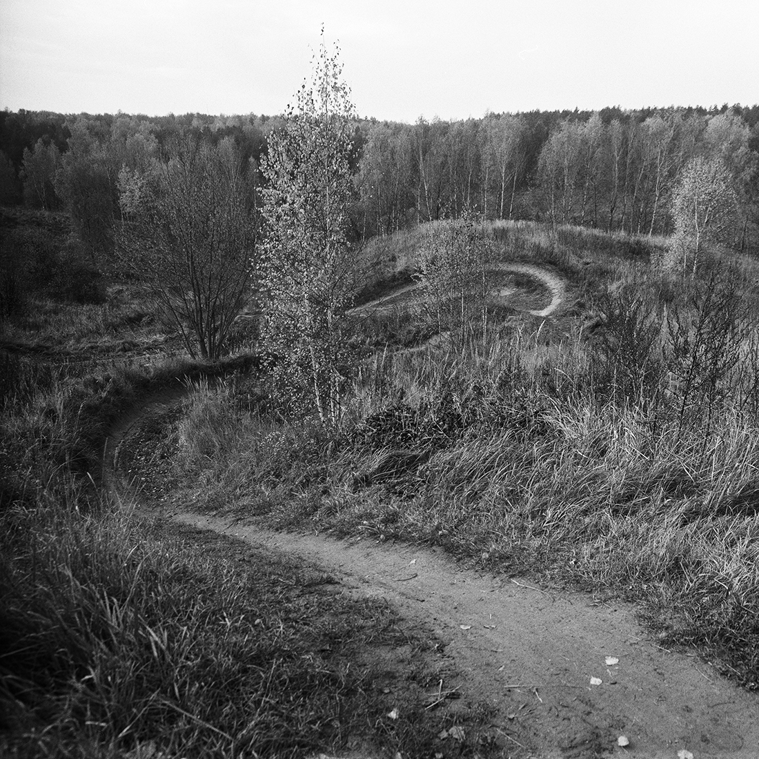 «Осень» раздел «Природный пейзаж». «»