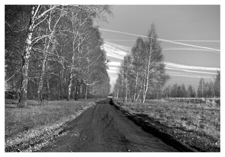 Черно-белая осень 