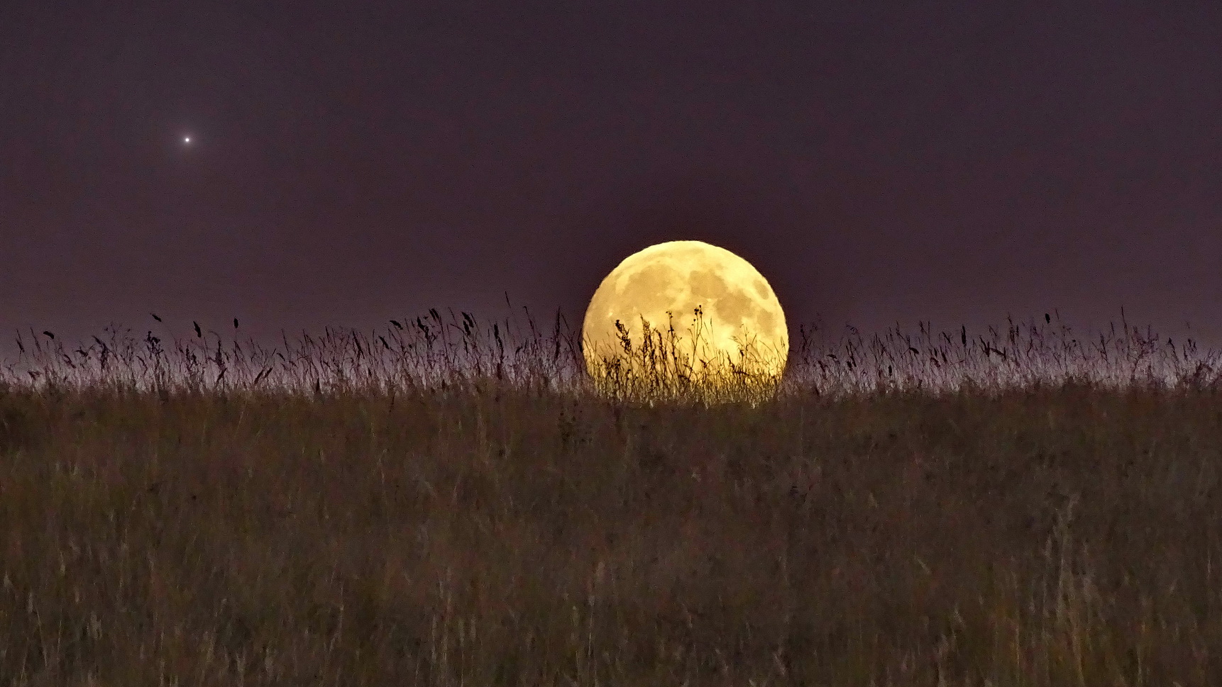 «Luna Tu» раздел «Рассветы. Закаты». «»